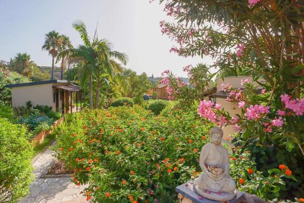Finca Tierra Sana إِستيبونا المظهر الخارجي الصورة