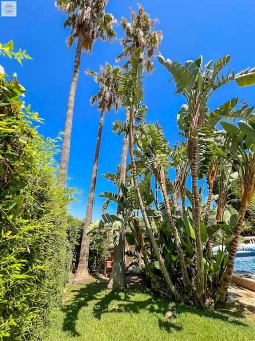 Finca Tierra Sana إِستيبونا المظهر الخارجي الصورة