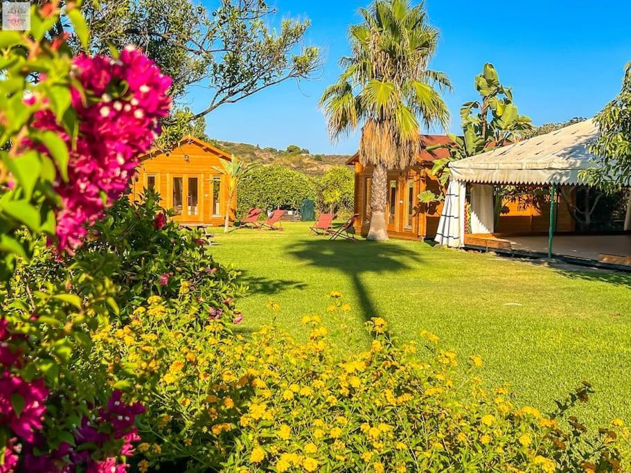 Finca Tierra Sana إِستيبونا المظهر الخارجي الصورة